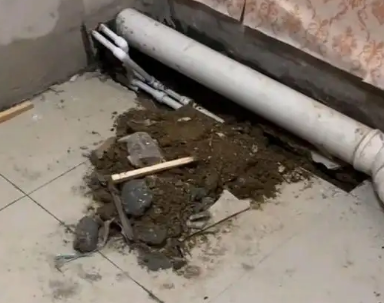 龙江卫生间漏水检测哪家好