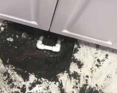 龙江查漏水哪家好